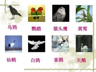 小学语文一年级课件-部首歌-沪教版