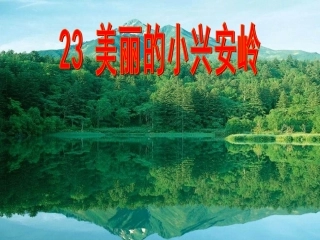 23美丽的小兴安岭——原创