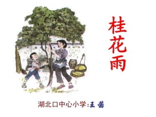 五年级语文桂花雨