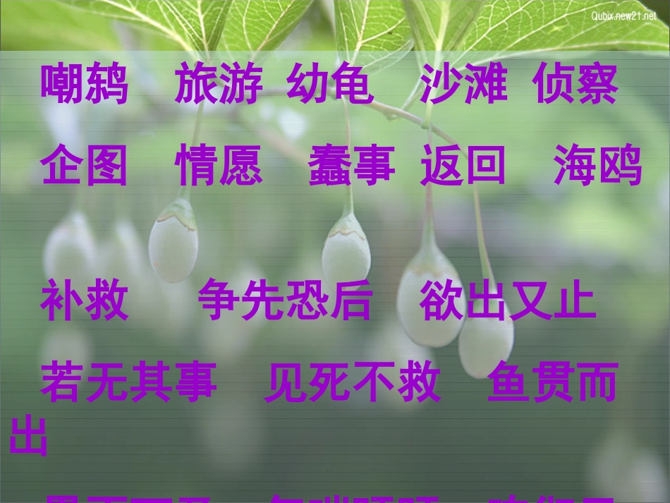 四年级语文下册第三组9.自然之道课件_第2页