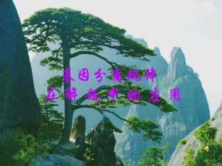 基因分离规律解题