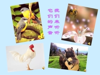 80声音的产生和传播