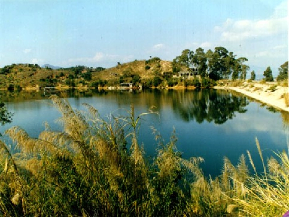 《芦花荡》PPT_第3页