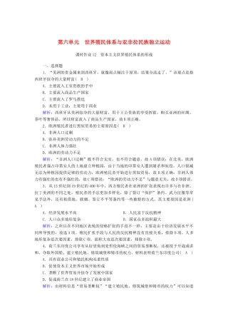 高中历史 第6单元 世界殖民体系与亚非拉民族独立运动 第12课 资本主义世界殖民体系的形成课时作业（含解析）新人教版必修《中外历史纲要（下）》-新人教版高一必修历史试题