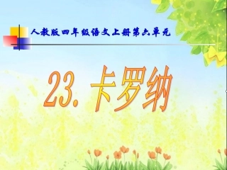 23.《卡罗纳》课件