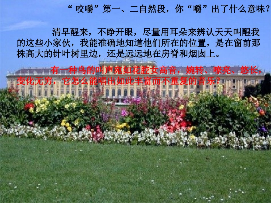 维也纳生活圆舞曲6_第3页