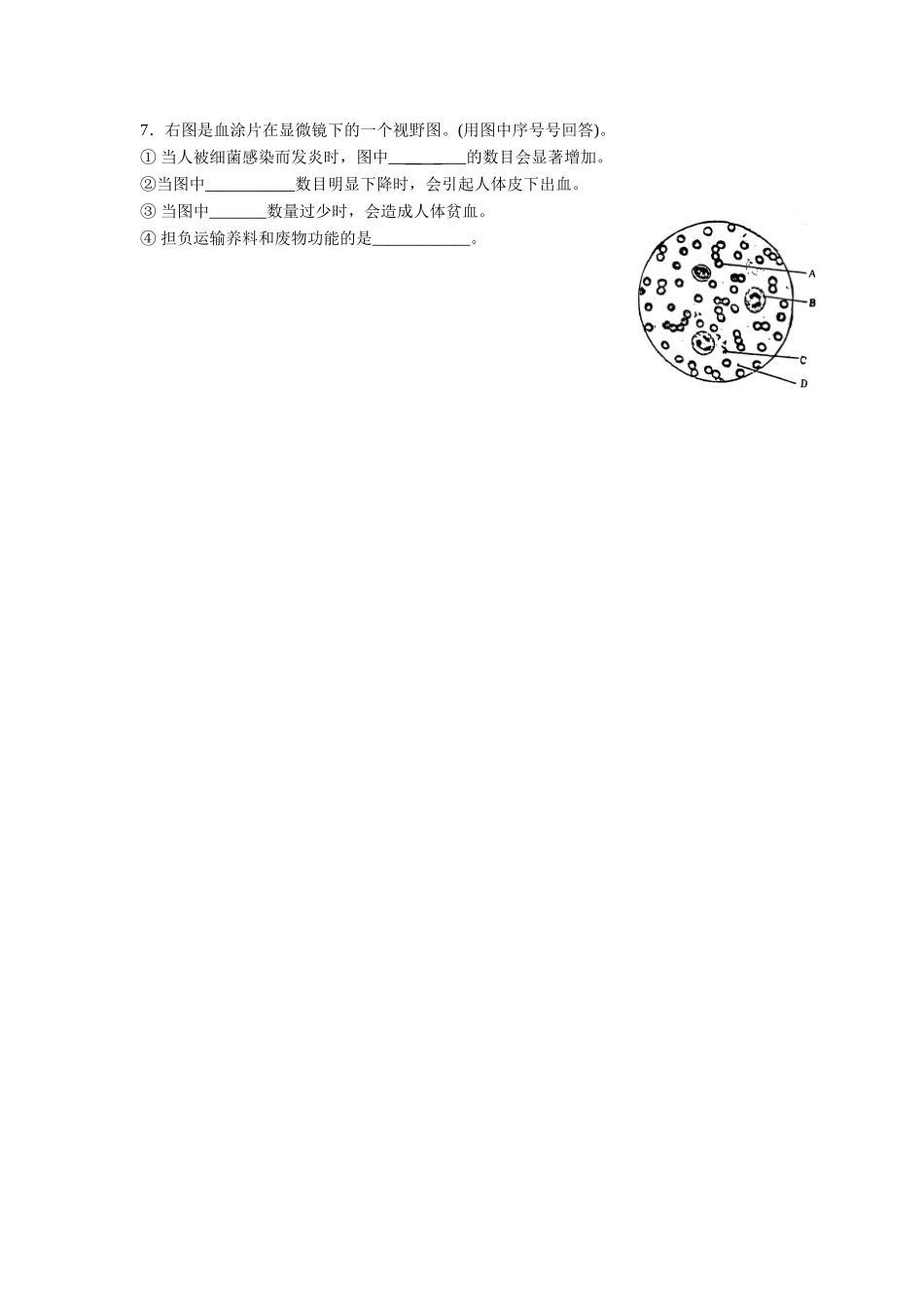 《第三节-物质运输的途径》同步练习2_第2页