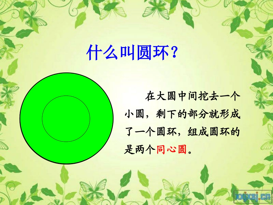 人教版-圆环的面积_第3页