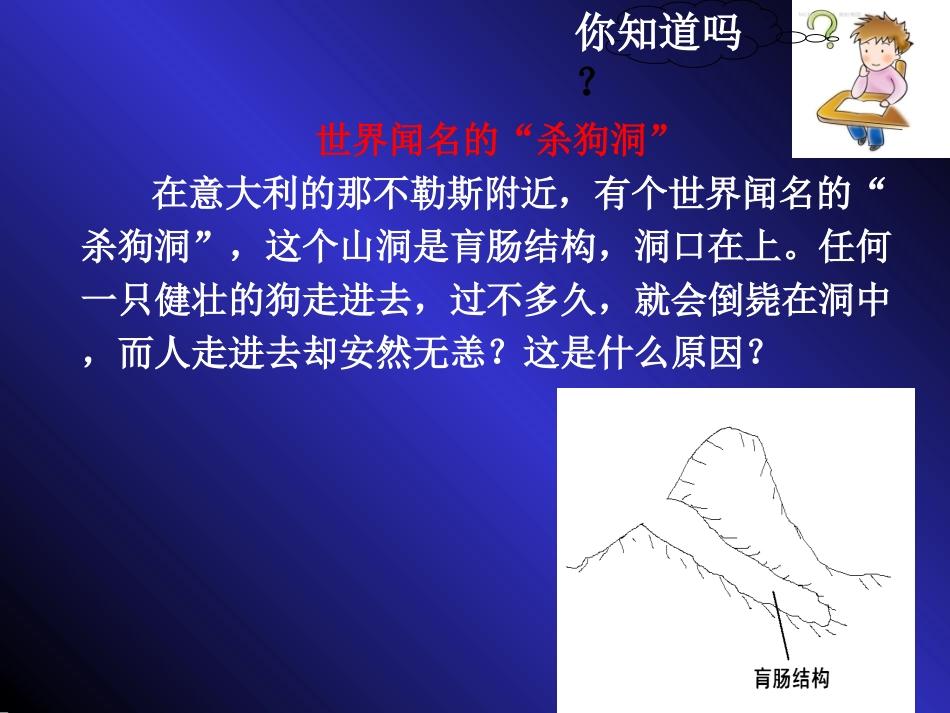 第六单元课题3《二氧化碳和一氧化碳》_第2页