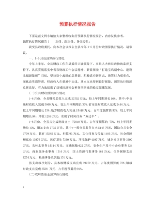 预算执行情况报告 