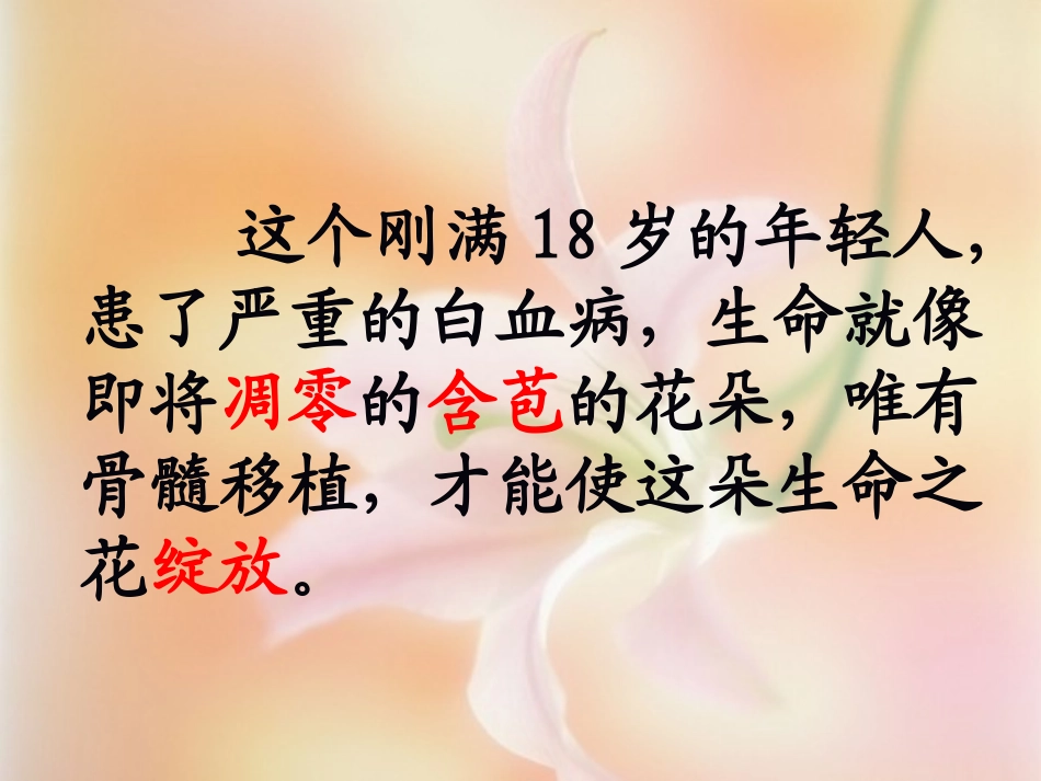 跨越海峡的生命桥-(4)_第3页