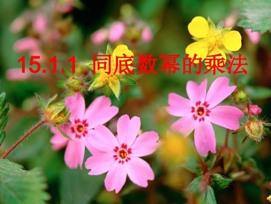 人教版八年级数学上册课件-1514-同底数幂的乘法-PPT课件_第1页