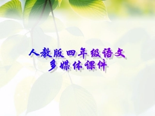 四年级语文上册第八组32.飞船上的特殊乘客第一课时课件