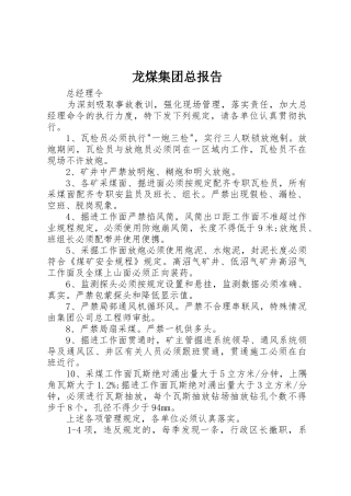 龙煤集团总报告