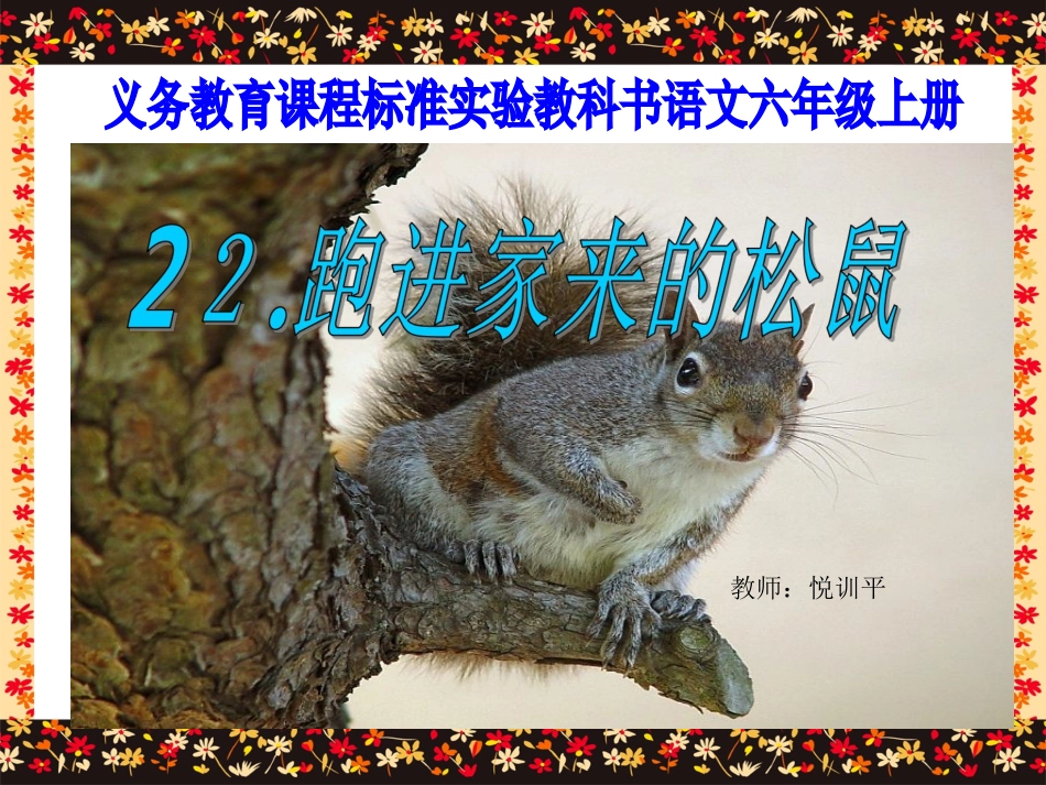 《跑进家来的松鼠》课件_第1页