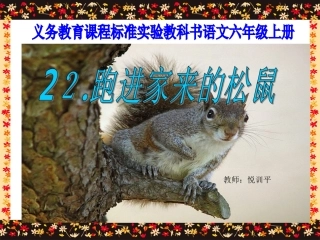 《跑进家来的松鼠》课件