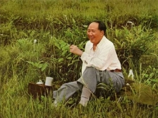 人教版五年级语文上册第八组《毛主席在华山》1-(2)