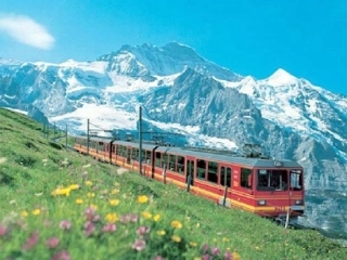 《让它们自由生息》PPT