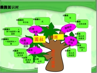 圆柱、圆锥知识树