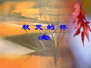 秋天的怀念-(2)