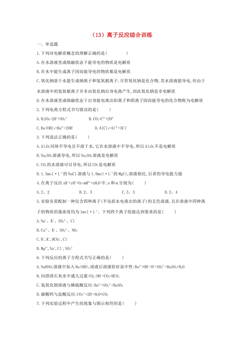 高一化学 寒假作业（13）离子反应综合训练 新人教版-新人教版高一全册化学试题_第1页