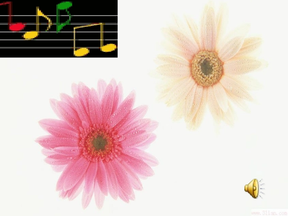 《太阳是大家的》课件a_第1页