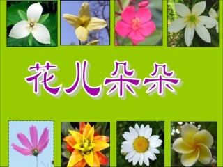 《花儿朵朵》课件