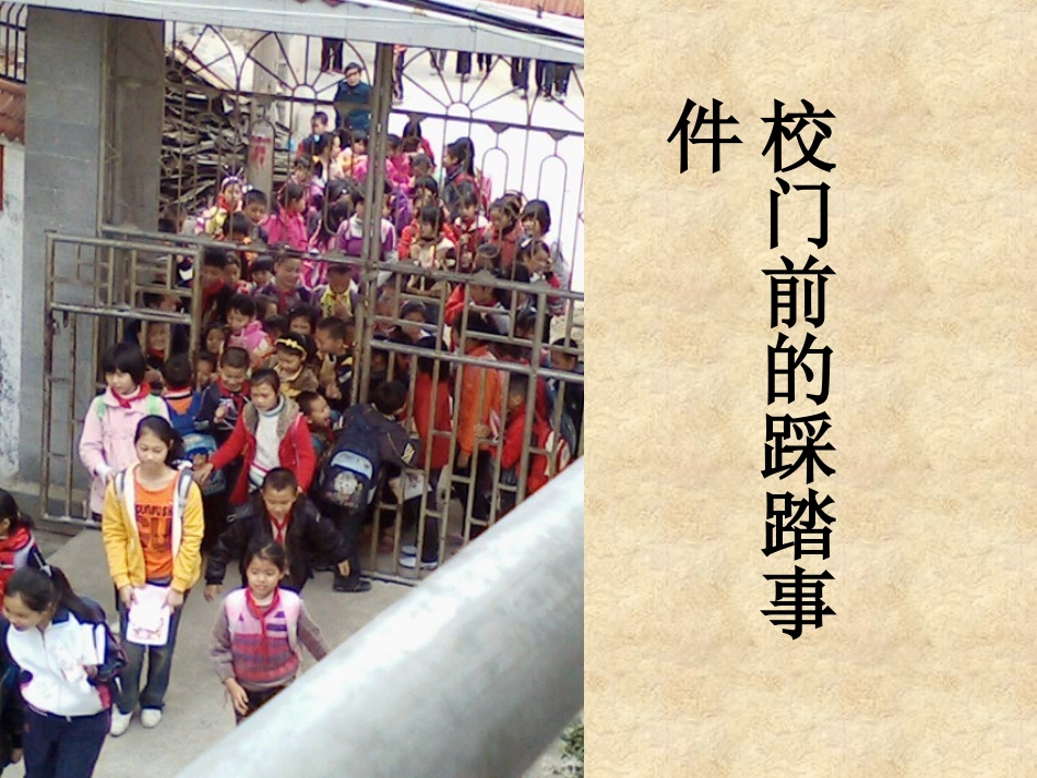 人教版小学六年级下册第四单元口语交际与习作《学会生存》_第2页