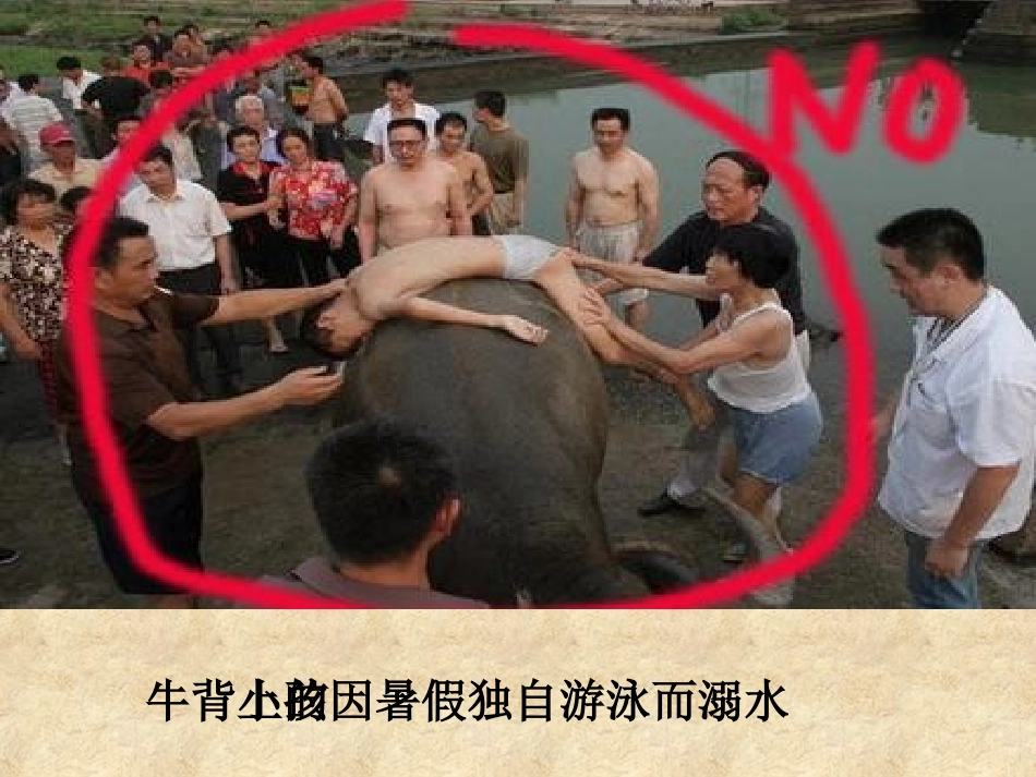 人教版小学六年级下册第四单元口语交际与习作《学会生存》_第3页