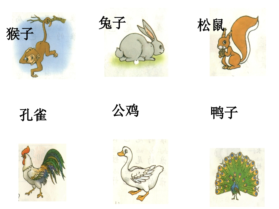 人教版一年级上册语文《10比尾巴》课件_第2页