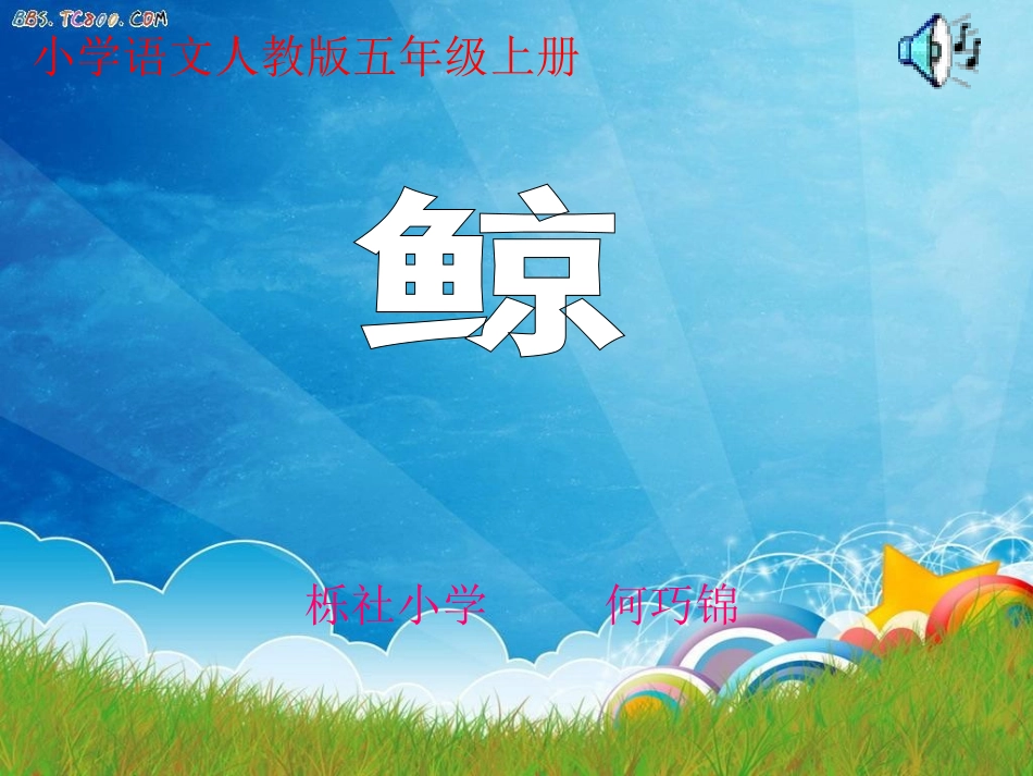 《鲸》课件(何巧锦)_第1页