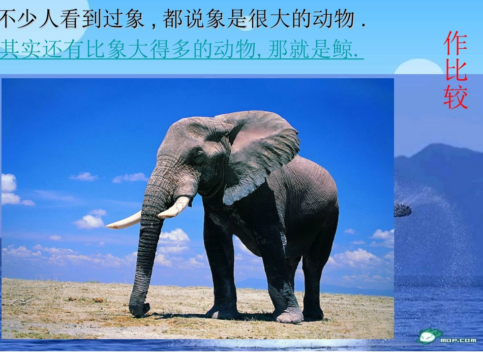 《鲸》课件(何巧锦)_第2页