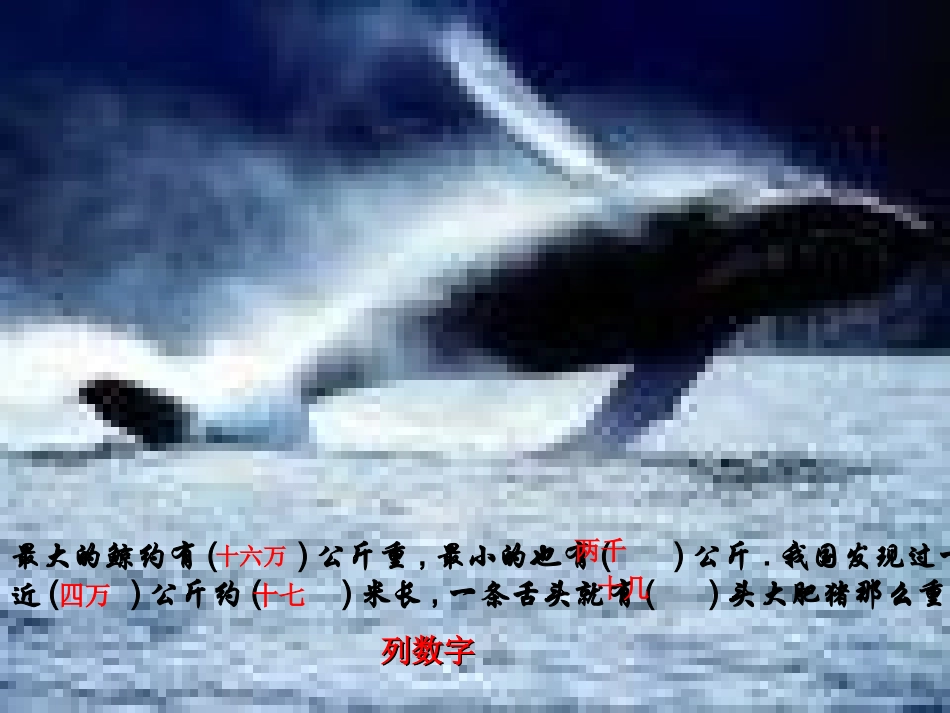 《鲸》课件(何巧锦)_第3页