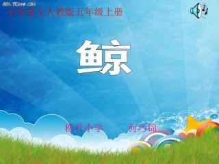 《鲸》课件(何巧锦)