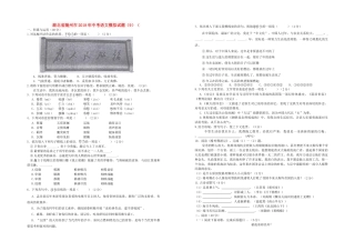中考语文模拟试卷(9)试卷
