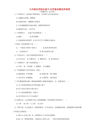 九年级化学综合复习 化学基本概念和原理试卷