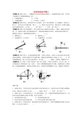 中考物理总复习 杠杆的动态平衡2试卷