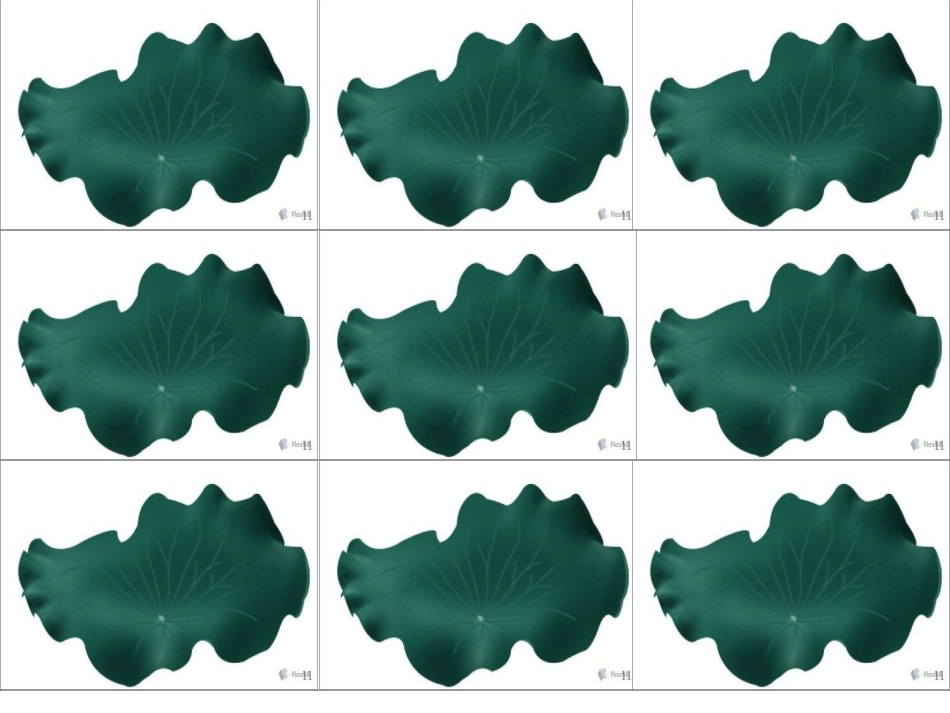 13荷叶圆圆(2)_第3页