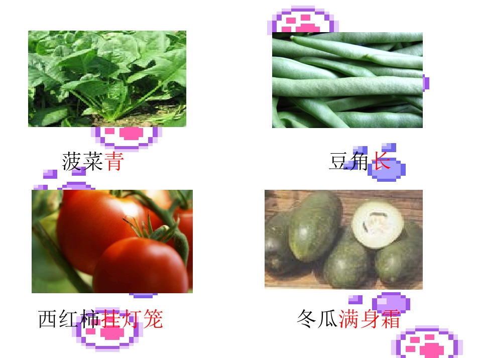 小学语文一年级课件-识字5-湘教版_第3页