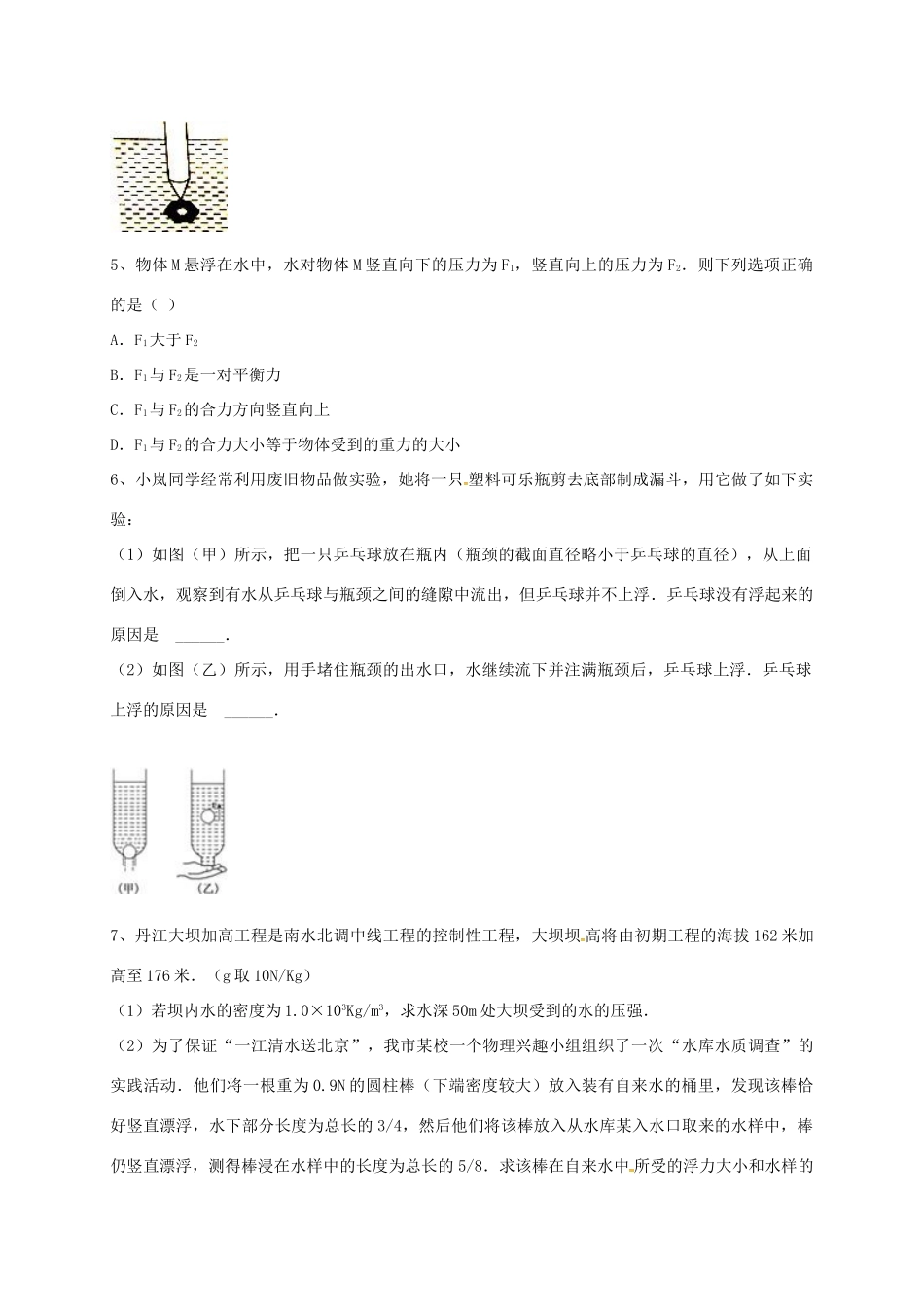 吉林省吉林市中考物理总复习 浮力实验试卷17 新人教版试卷_第2页