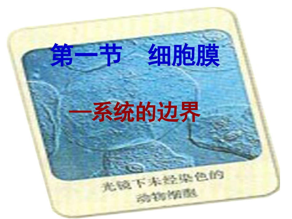 细胞膜——系统的边界上课_第1页