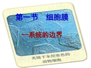 细胞膜——系统的边界上课