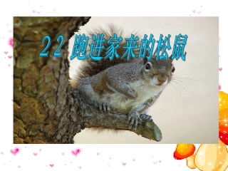 《跑进家来的松鼠》课件8
