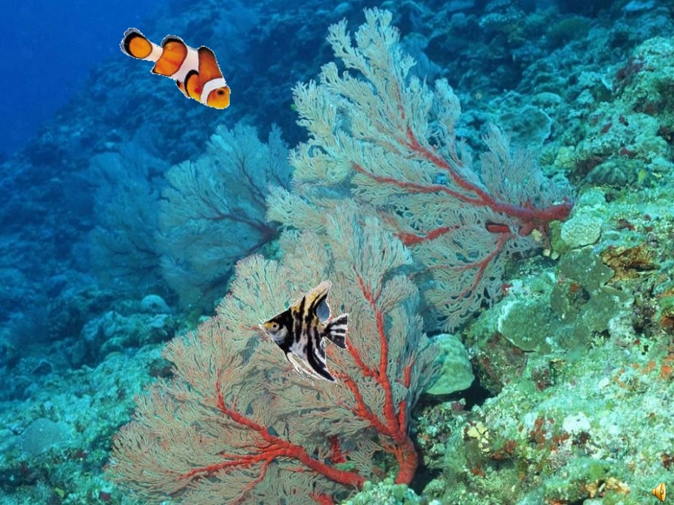 人教版小学数学课件《平移和旋转》_第1页