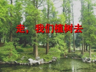 走-我们植树去