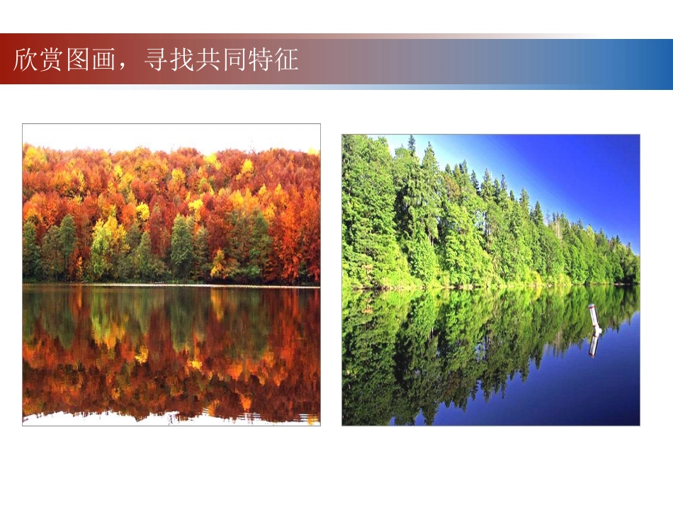 轴对称课件.1轴对称_第2页