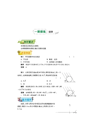 九年级数学下学期第十六周辅导精练(投影)(pdf) 新人教版试卷