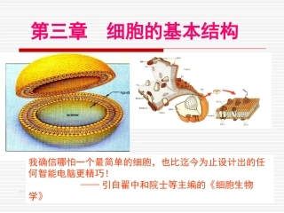 3.1-细胞膜—系统的边界-课件-黎文艺