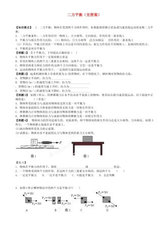 中考物理总复习 二力平衡试卷