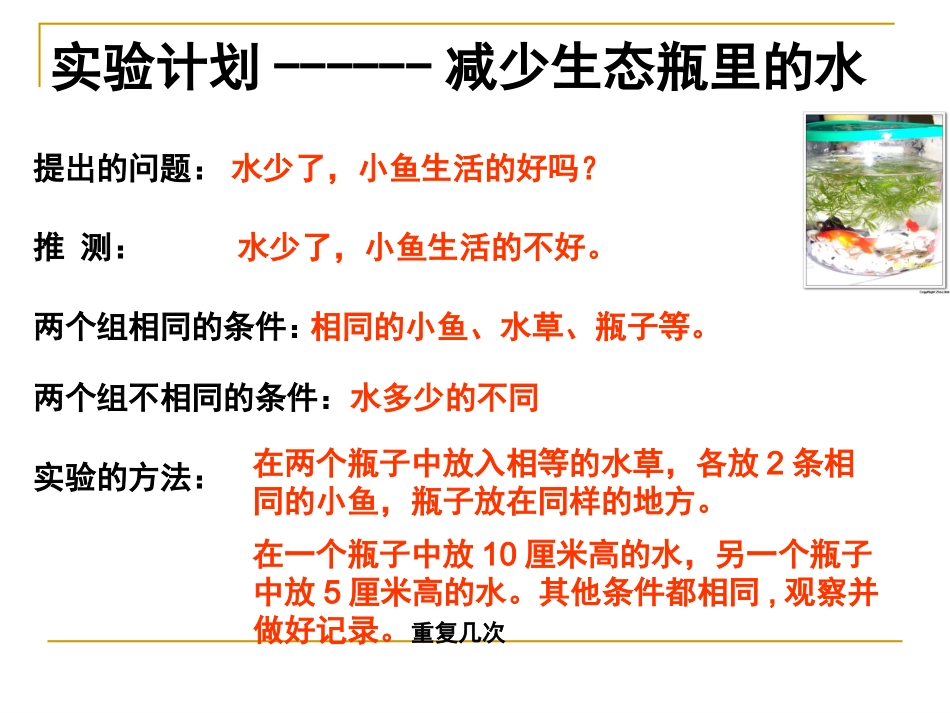 (教科版)五年级科学上册课件-改变生态瓶-1_第3页